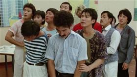 ▲夏日福星（圖／翻攝自百度百科）