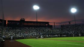 夢幻成真棒球場。（圖／美聯社／達志影像）