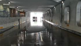 中山地下道,樹林