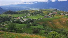 花蓮金針花季登場　實施人流管制花蓮金針花季開跑，受COVID-19疫情影響，花蓮縣政府與兩大金針山所在的玉溪地區農會、富里鄉農會取得共識，花季期間實施上山流量管制、實聯制，管制時間為每日上午7時30分至下午5時，上山人流總量最多2000人次。（玉里警分局提供）中央社記者張祈傳真  110年8月13日