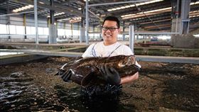 石斑,有機認證,海水養殖,屏東,