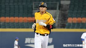 ▲中信兄弟三壘手王威晨敲出陽春砲。（圖／記者劉彥池攝影）