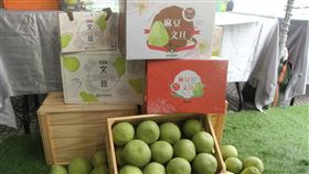 台南麻豆文旦採收上市台南市各地生產的文旦柚今年預估增產約5%，主要產地之一的麻豆區農會14日舉辦文旦上市記者會，促銷相關產品。中央社記者楊思瑞攝  110年8月14日