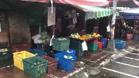 文 左營淹大水1200