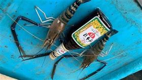 把蝦子手臂剪掉秤重說斤兩不夠。（圖／翻攝自爆怨2公社）