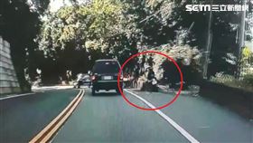 新北市，坪林，車禍，自撞，檔車