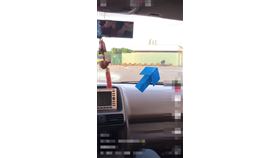 野馬哥,車禍,超速,闖紅燈,女騎士