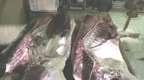 基隆攤商遭爆老鼠深夜啃食豬肉
