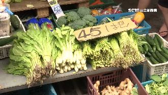 葉菜類價格翻倍飆漲　回穩至少再2週
