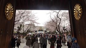 平成最後賞櫻　遊客湧至皇居附近日皇明仁4月30日退位，目前年號「平成」的時代將結束，所以這波櫻花季被稱為「平成最後花見（賞櫻）」。與皇室有關的符號，像是菊花紋受注目。圖為靖國神社的大門。中央社記者楊明珠東京攝　108年3月29日