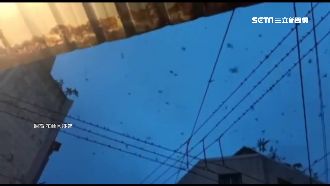 花蓮鳥糞空襲　萬燕停家門出門得撐傘