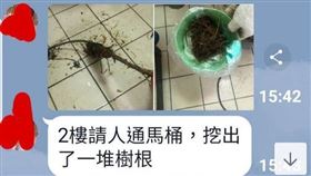 馬桶阻塞，維修挖出樹根，圖／翻攝自議員李明賢-阿賢之聲臉書
