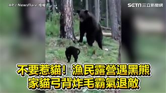 漁民露營遇黑熊　家貓炸毛霸氣護主