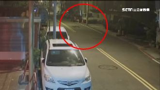 門沒關寵物鱷魚逃家　全里總動員追捕