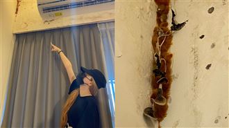 七期豪宅小房變香菇園　吃播正妹崩潰