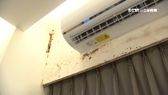 2.2萬套房竟漏水長菇　女房客崩潰