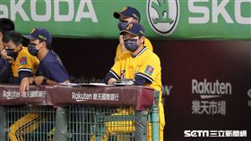 ▲中信兄弟總教練林威助。（圖／記者劉彥池攝影）