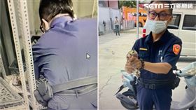 球蟒,蘭花園,蟒蛇,高雄,翻攝畫面