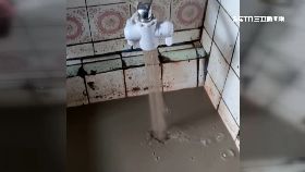 文 六龜怨泥水1200