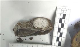 牛車伯,骨骸,鬼月,嘉義,翻攝畫面