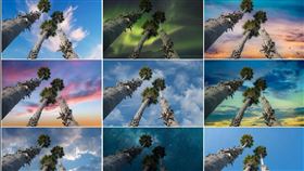 Adobe釋出重大更新　天空替換、魔術棒…超神奇（圖／Adobe提供）