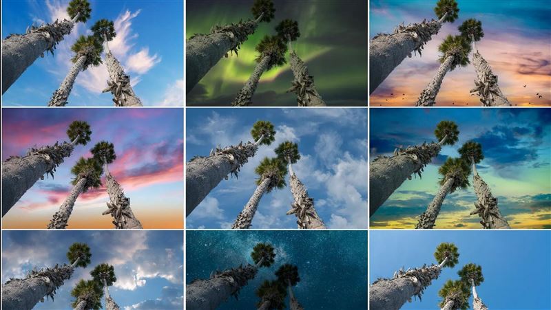 Adobe重大更新　天空替換超神奇