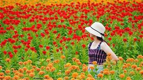 圖／台灣旅行趣