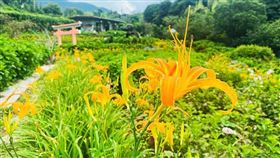 圖／台灣旅行趣