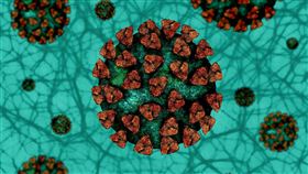 病毒,冠狀病毒,COVID19 圖／Pixabay