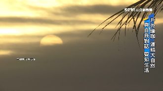 東漂正紅！台東成年輕人「圓夢基地」