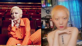 林幻夢露。（圖／林幻夢露提供）