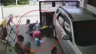 驚悚瞬間　女熊貓被狗追、慘衝撞鐵門