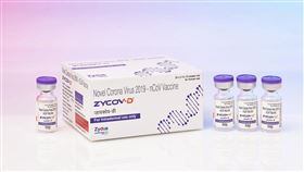 印度藥廠Zydus Cadilada與印度生技部門合作開發全球首支DNA新冠疫苗「ZyCoV-D」　圖／翻攝自Zydus Cadilada官網