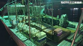 高雄,海巡,查緝隊,貓,俄羅斯藍貓,布偶貓