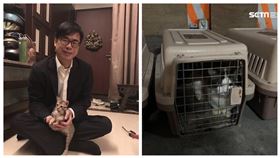 ▲高雄市長陳其邁是有名的愛貓人。得知154隻品種貓被走私入台，必須人道處置安樂死，主動向農委會關切。（圖／翻攝畫面）