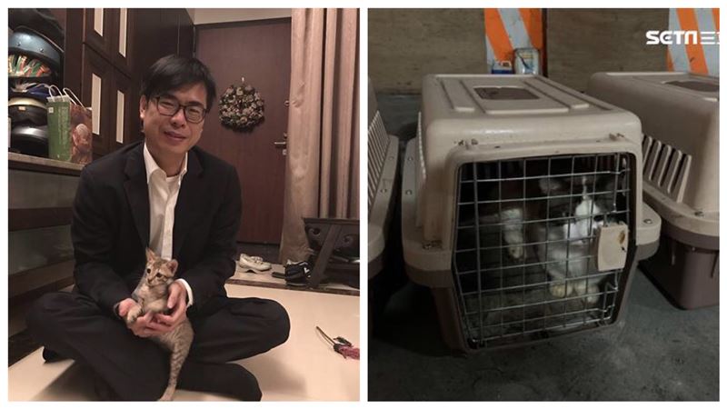 陳其邁也救不了！誰害154隻貓被殺