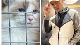 謝祖武與走私安樂死貓咪　（圖／資料照與臉書）