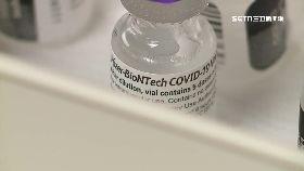 文 BNT中秋來1800