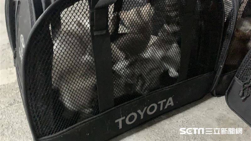安樂死殘忍？專家：狂犬病比新冠可怕