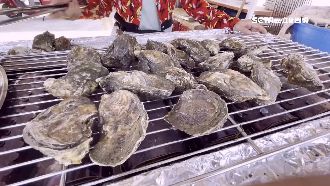 東石牡蠣減產7成　攤商估中秋將漲價