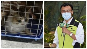 走私貓,陳吉仲（合成圖／資料畫面）