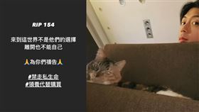 廖允杰，貓。(圖／廖允杰臉書)