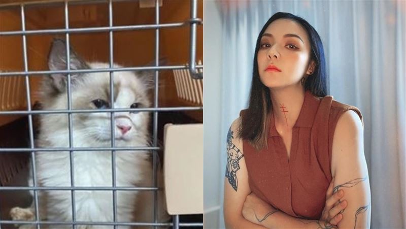 購買寵物拒當朋友　女星：智商大扣分