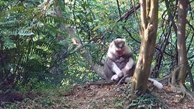 記者鍾志鵬攝影