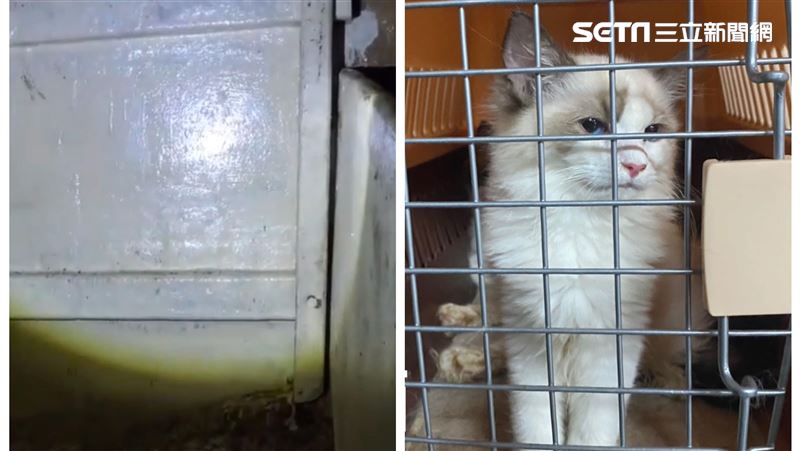 154貓生命最終旅程！神秘密艙曝光