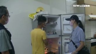 非洲豬瘟沒疫苗　專家：死亡率百分百