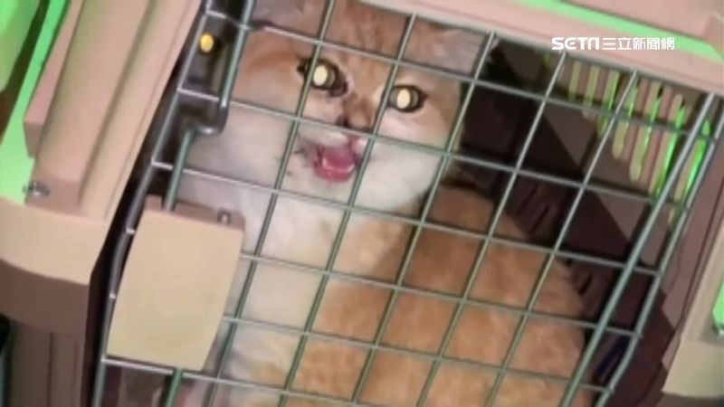 獨／船長6萬交保　付錢神秘婦身分曝