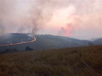 火氣球墜落　州立公園燒毀逾半面積