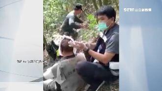 獵人打獵遇山豬　「斷指」撿回一命