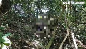 高雄,柴山,失蹤,死亡,樹藤